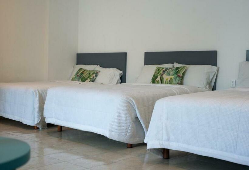 Chambre Familiale, & Suites Arges  Centro Chetumal