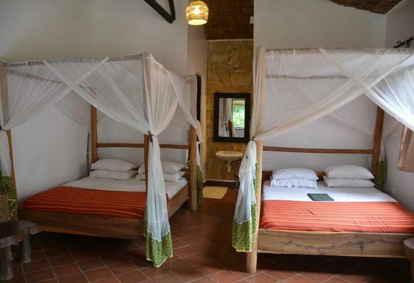 חדר סטנדרט, Honey Badger Lodge