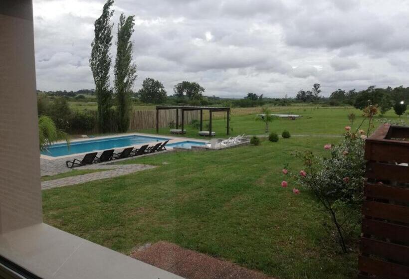 اتاق سوپریور یک تخته, Juana De Ibarbourou