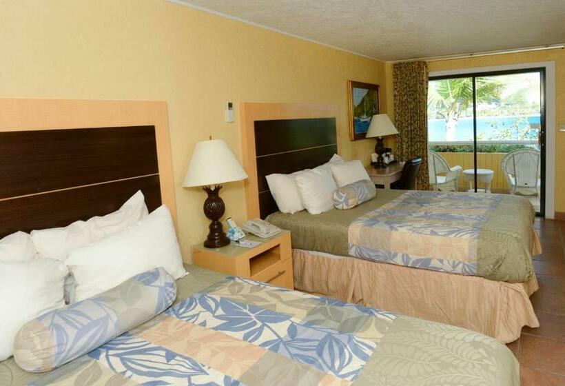 اتاق استاندارد با 2 تخت دوبل, Lindbergh Bay