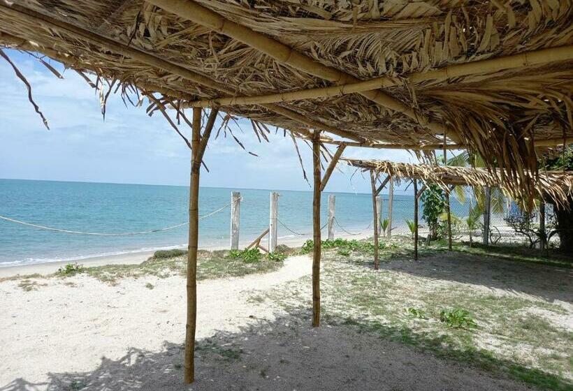 Люкс, Togo B&b Farallon