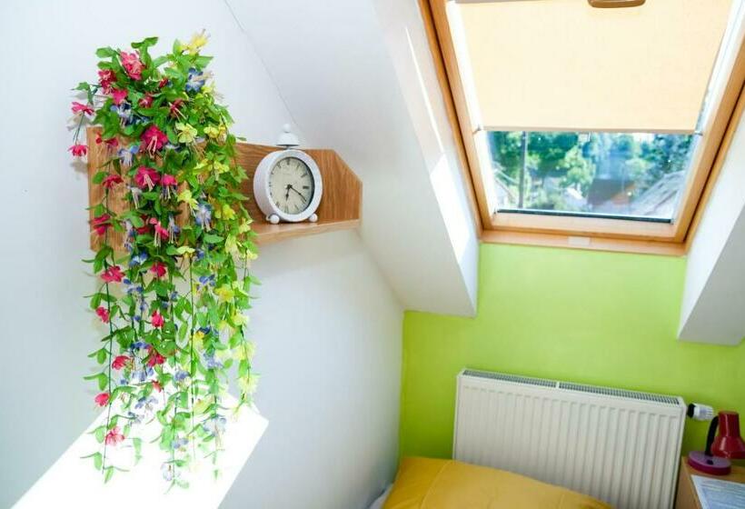 חדר סטנדרט חדר אמבטיה משותף, Turisticka Ubytovna Cakle