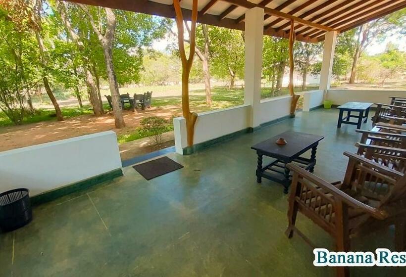 Номер Deluxe, Banana Rest Sigiriya