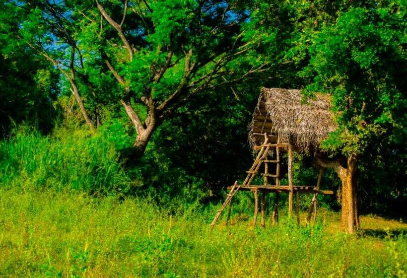 Номер Стандарт Трехместный, Banana Rest Sigiriya