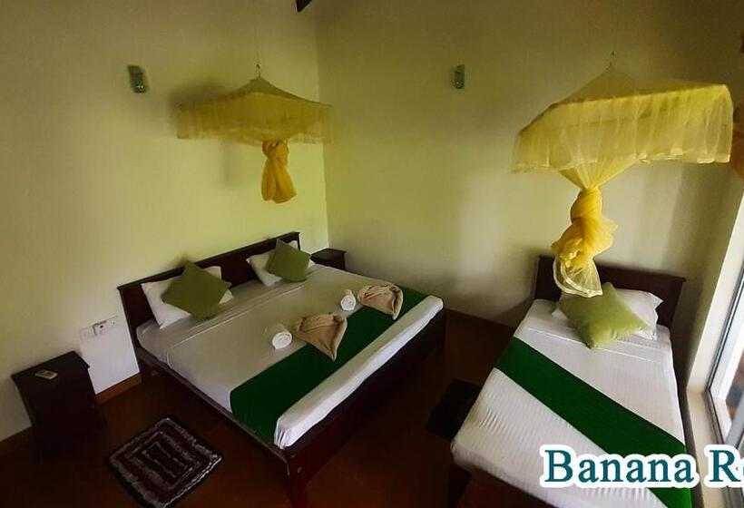Номер Стандарт Трехместный, Banana Rest Sigiriya