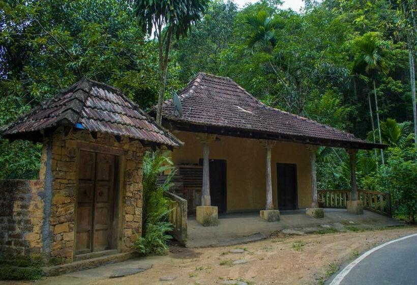 Номер Стандарт, The Kandy Samadhicentre
