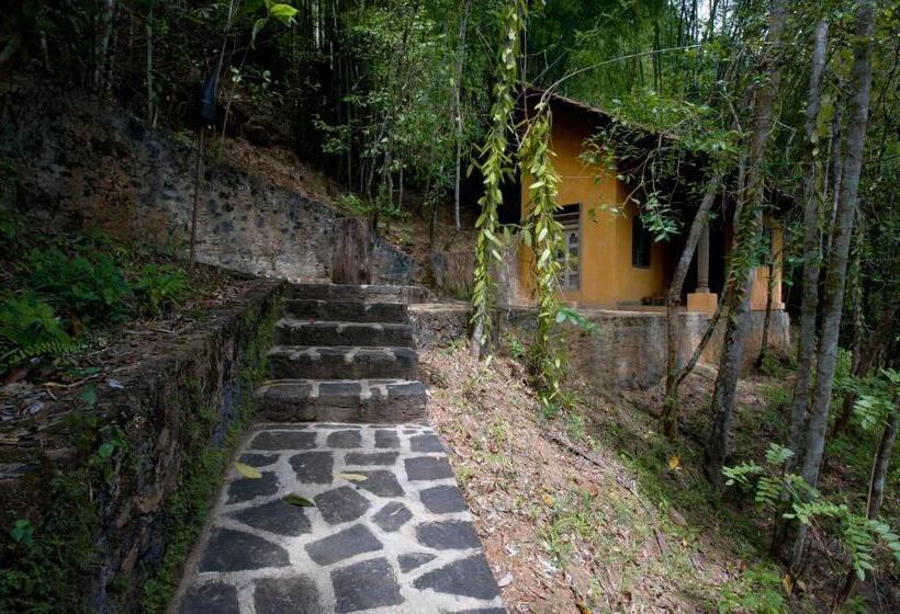 Номер Стандарт Индивидуальный, The Kandy Samadhicentre