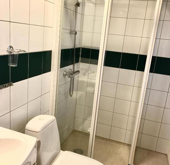 Номер Стандарт Индивидуальный, Rondane Haukliseter Fjellhotell