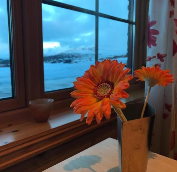 Апартаменты 1 Спальня, Rondane Haukliseter Fjellhotell