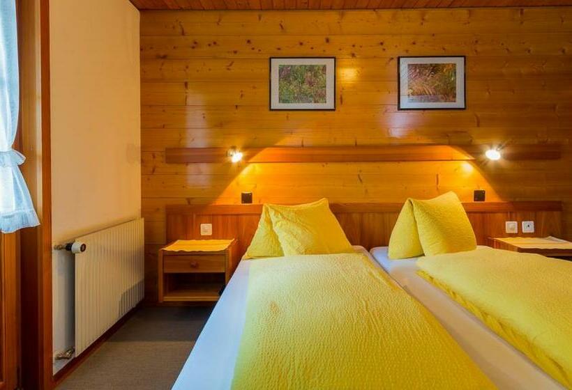 Номер Стандарт с Балконом, Swiss Lodge Joopi