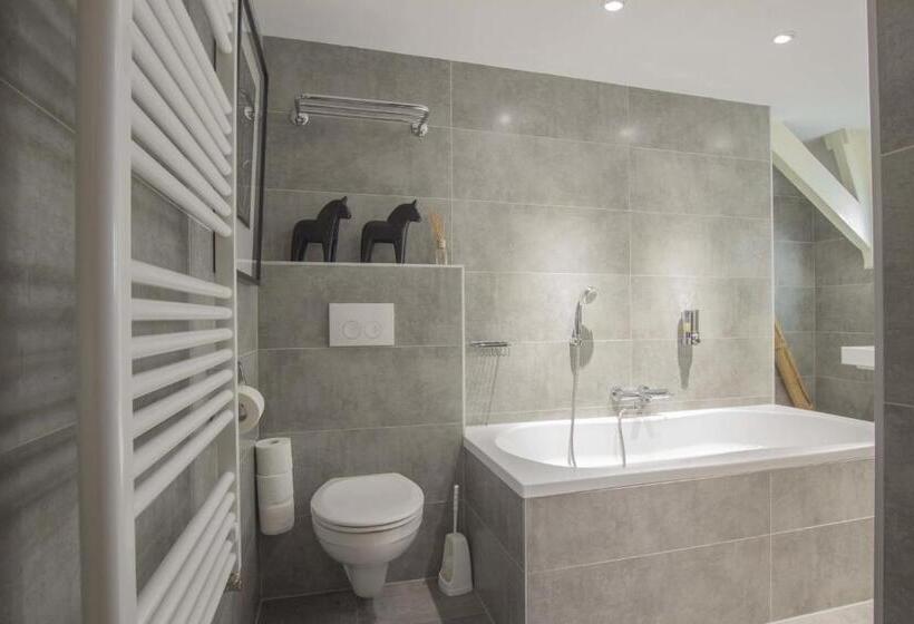 Люкс, B&b Wladimir Studios