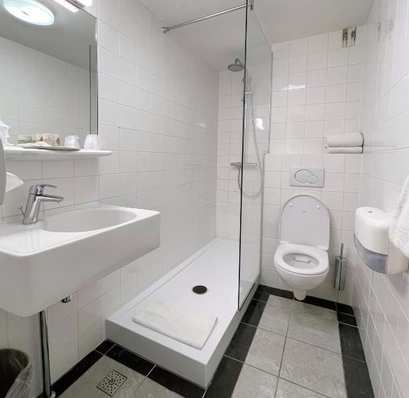 חדר קומפורט לשלושה, Residence Le Coin