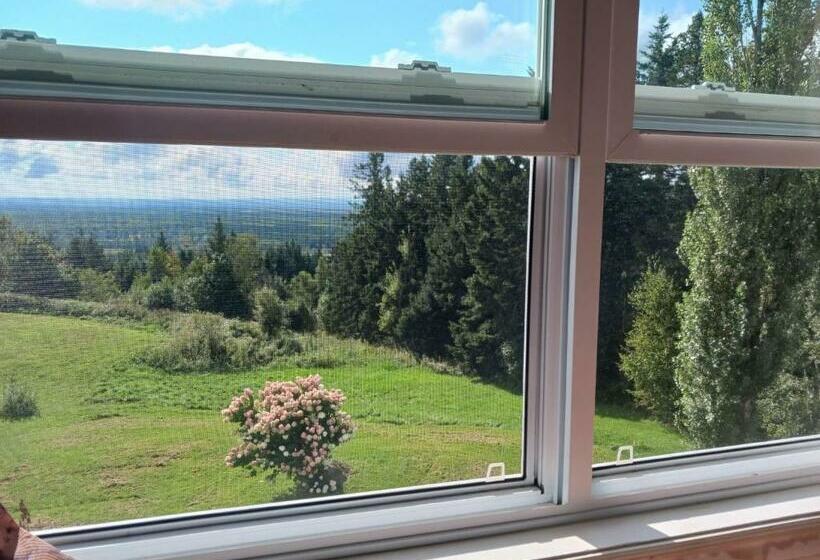 四人标准间, Scenic Motel Moncton