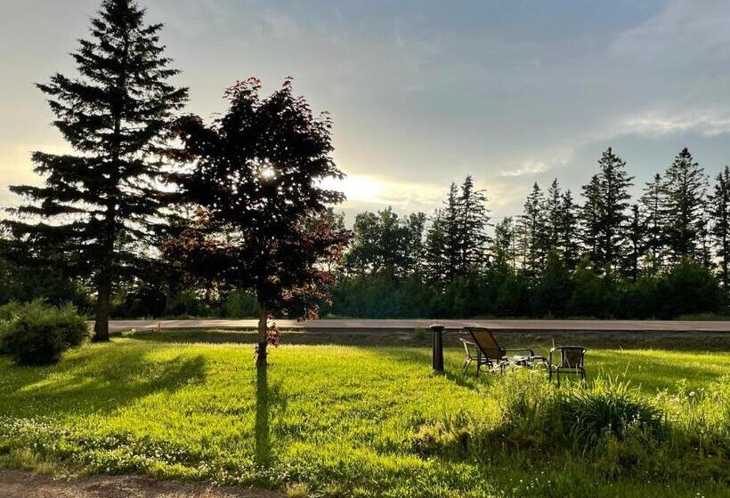 四人标准间, Scenic Motel Moncton