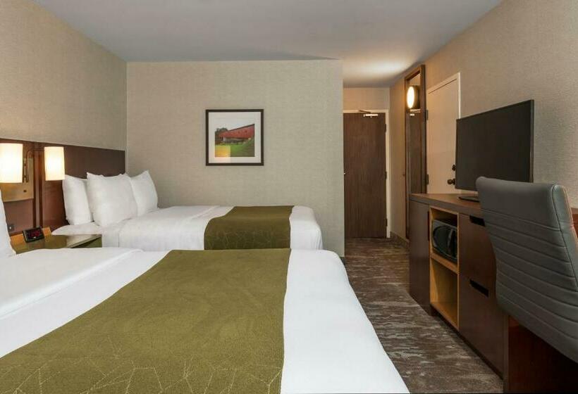 Номер Стандарт 2 Двуспальные Кровати, Comfort Inn