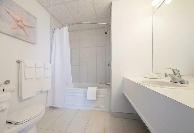Quarto Executivo, Plante