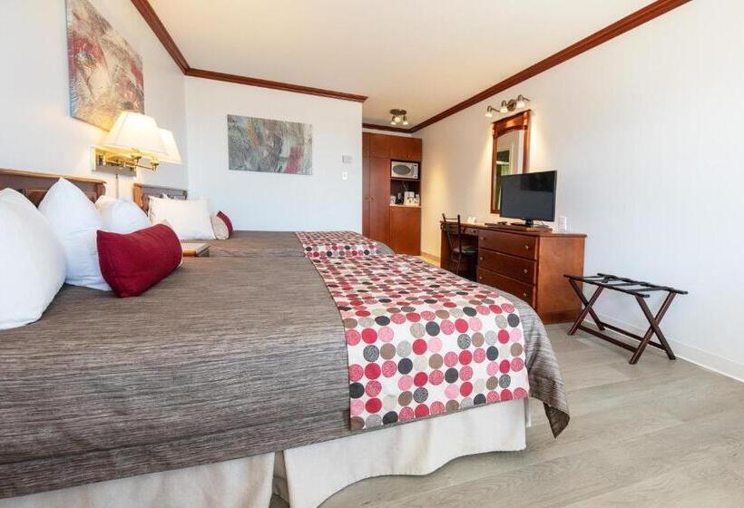 Quarto Deluxe, Plante