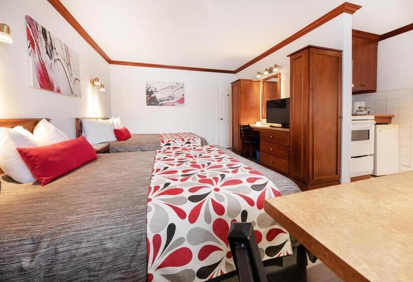 Quarto Estandar, Plante