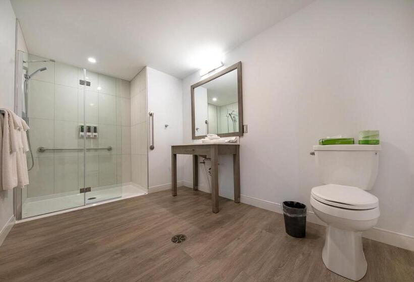 Quarto Estandar Cama King para Deficientes Físicos, Plante
