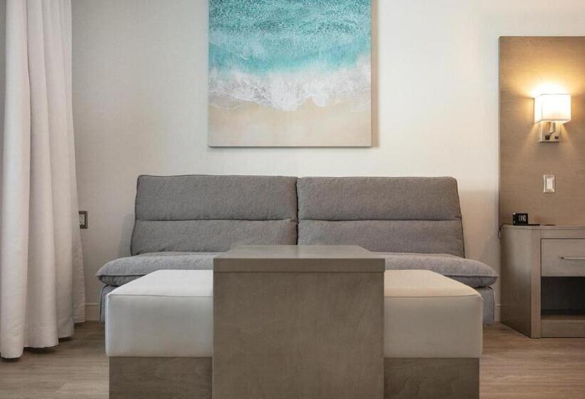 Quarto Estandar Cama King para Deficientes Físicos, Plante