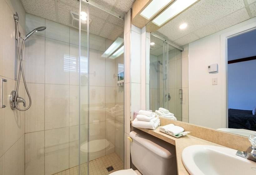 Quarto Deluxe, Plante