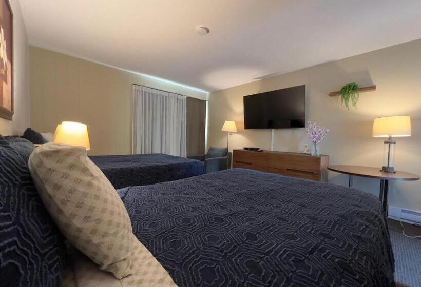 Номер Superior, Monashee Motel