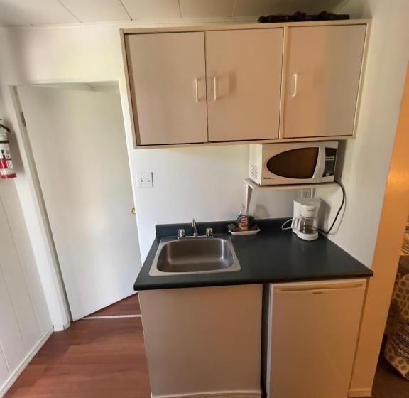 Номер Superior, Monashee Motel