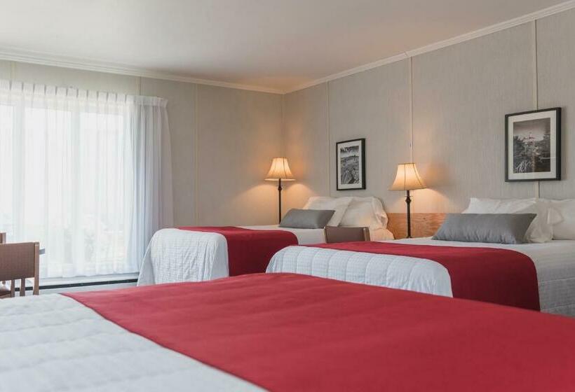 Quarto Estandar, Motel Cartier