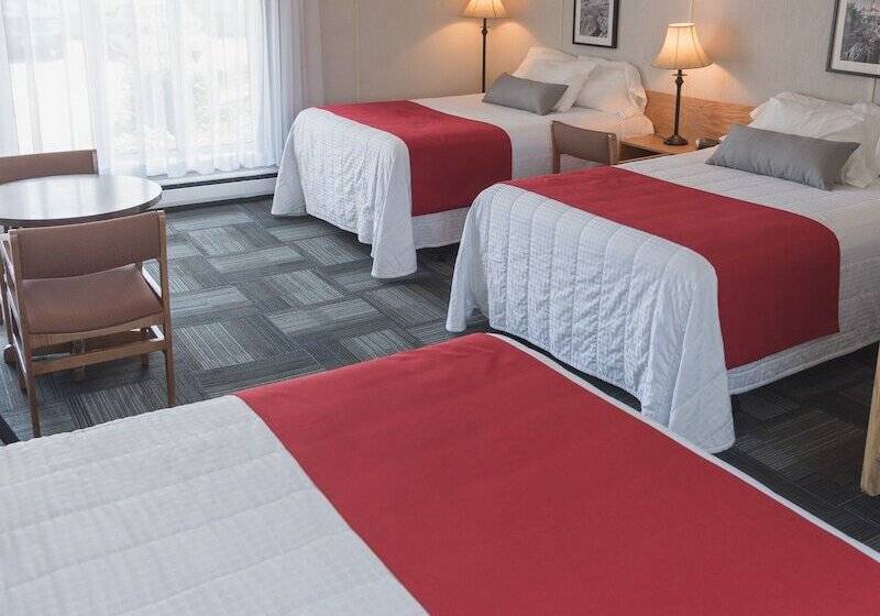 Quarto Estandar, Motel Cartier