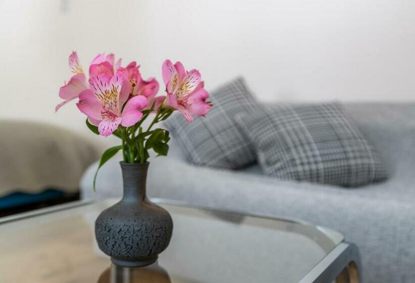 スタンダードルーム, Lodge Romulus