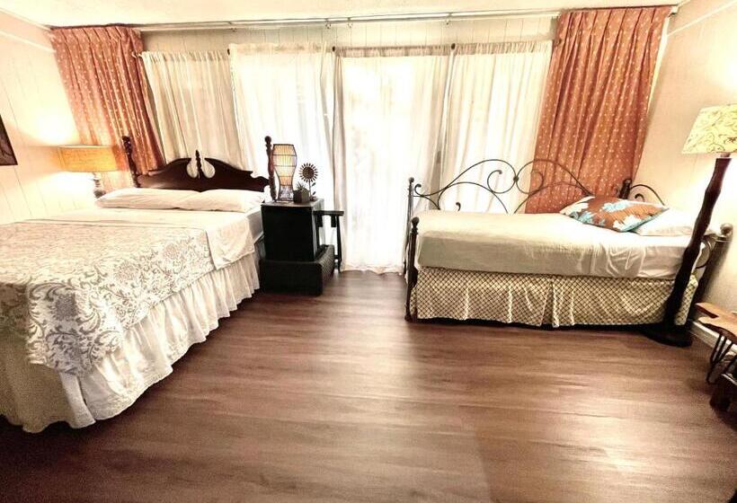 اتاق خانوادگی, Shaka Shak Guest House