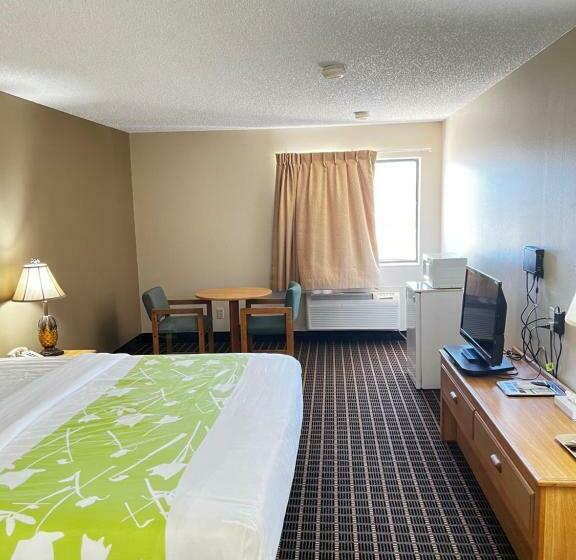 带大床的标准间, Designer Inn And Suites