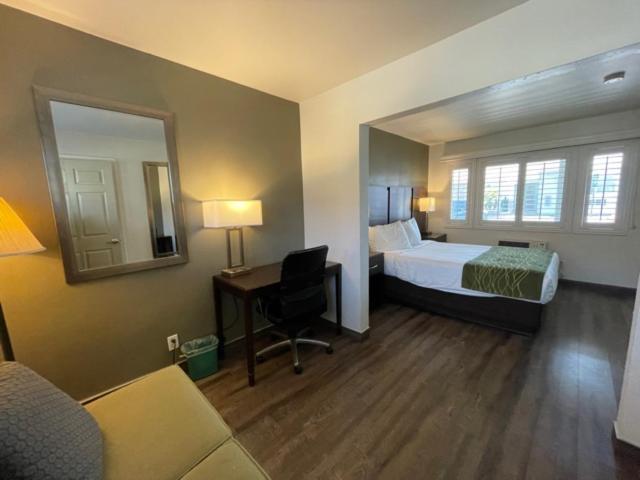 장애인을 위한 스탠다드 룸, Hi View Inn & Suites