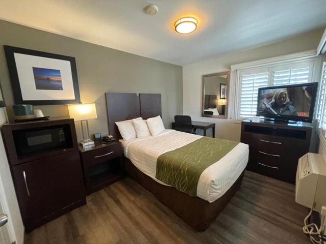 스탠다드 룸, Hi View Inn & Suites