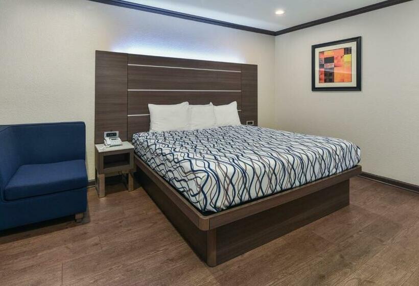 带大床的标准间, Oak Park Motel