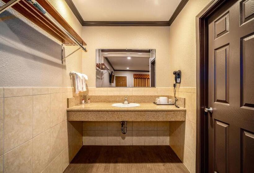 带大床的标准间, Oak Park Motel