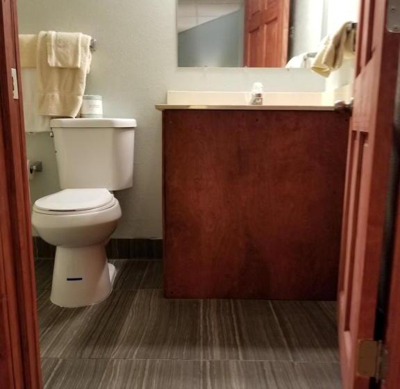 חדר סטנדרט עם מיטת קינג, Wolds Motel   Mt. Pleasant