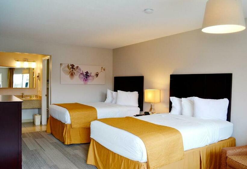 俱乐部房间, Quality Inn & Suites By The Parks