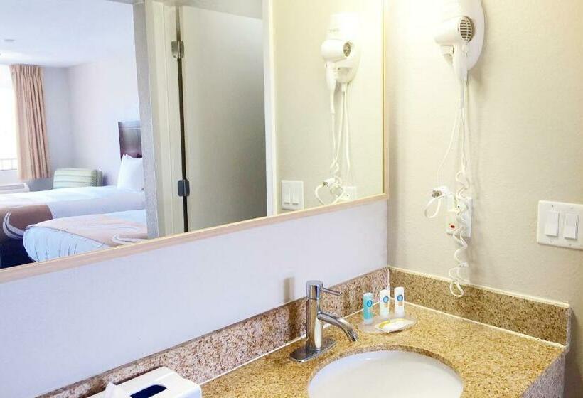 适合残疾人士使用的带超级大床的标准间, Quality Inn & Suites By The Parks