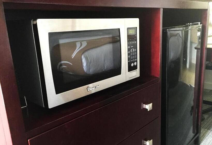 标准间, Quality Inn & Suites By The Parks