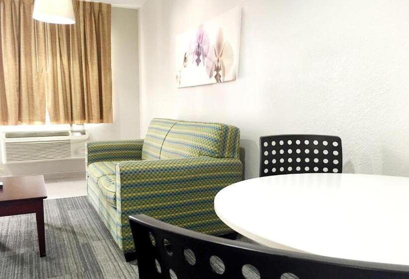 带大床的套房, Quality Inn & Suites By The Parks