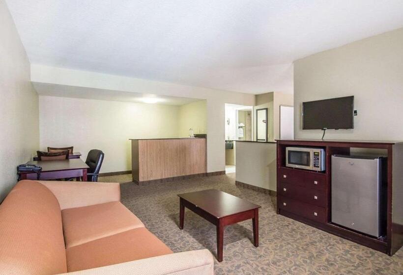 带大床的套房, Quality Inn & Suites By The Parks
