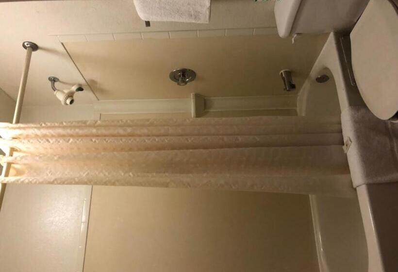 标准单人间, Lone Star Inn