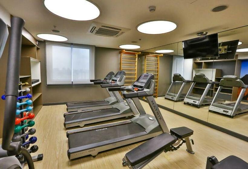 디럭스 룸 킹사이즈 침대, Hilton Garden Inn Santo Andre