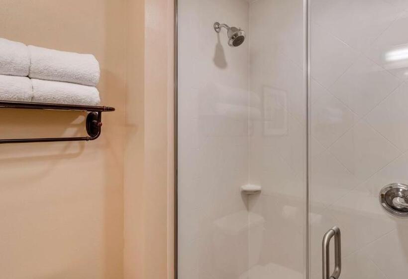 Люкс, Best Western Plus Tuscumbia/muscle Shoals Hotel & Suites