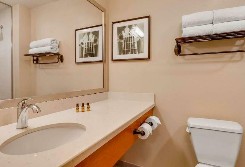 Номер Стандарт, Best Western Plus Tuscumbia/muscle Shoals Hotel & Suites