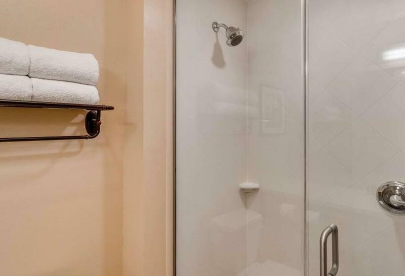 Люкс Кровать Кинг, Best Western Plus Tuscumbia/muscle Shoals Hotel & Suites