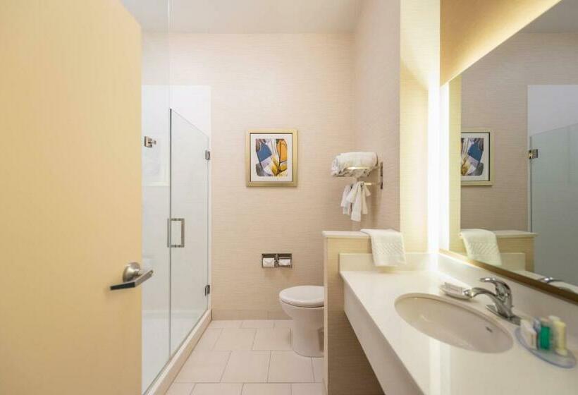 Люкс, Fairfield Inn & Suites By Marriott Sidney