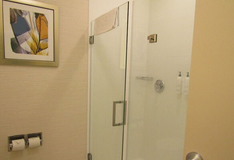 Люкс, Fairfield Inn & Suites By Marriott Sidney