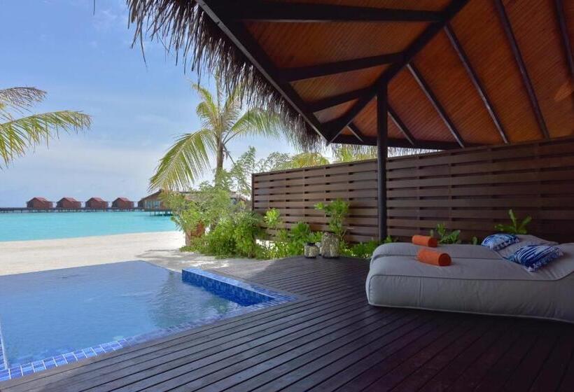 Вилла с 1 спальней и бассейном, Grand Park Kodhipparu Maldives   Child Stay & Eat Free Until 30 Nov 2024